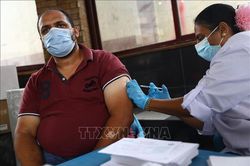 AU kêu gọi các nước EU công nhận chứng nhận tiêm chủng vaccine ngừa COVID-19