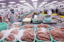 Xuất khẩu thủy sản đang dần khôi phục nhờ nới lỏng giãn cách