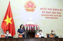 Đoàn ĐBQH tỉnh Điện Biên tham gia ý kiến về chính sách bảo hiểm xã hội