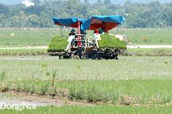 Tập trung khắc phục hậu quả lũ lụt