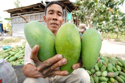 Tái cấu trúc ngành nông nghiệp thế nào?