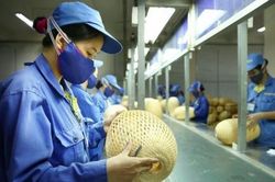 Chuyên gia kinh tế: Các gói hỗ trợ chưa đủ lớn, khiến kinh tế 'lỡ nhịp'