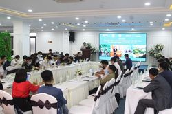 Đề xuất chiến lược phát triển dược liệu bền vững gắn với du lịch