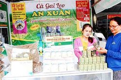 Cam Lộ đẩy mạnh chuyển giao ứng dụng khoa học công nghệ vào sản xuất