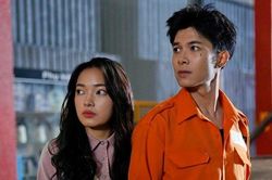 Đại biểu Quốc hội: 'Yếu tố bạo lực, tình dục cần theo thể loại phim'