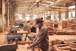 Tốc độ phục hồi của ngành gỗ diễn ra nhanh hơn dự báo