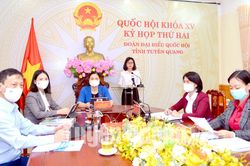 ĐBQH tỉnh thảo luận Luật Kinh doanh bảo hiểm (sửa đổi)
