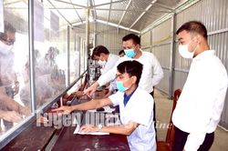 Hướng dẫn khai báo y tế bằng mã quét PC Covid-19