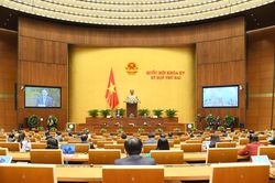 Rà soát kỹ hiện trạng sử dụng đất tại các địa phương