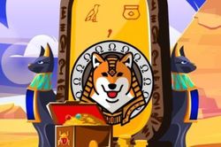Một dự án memecoin cuỗm mất 60 triệu USD của nhà đầu tư