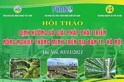Hà Nội: Tìm giải pháp cho phát triển nông nghiệp đô thị thông minh