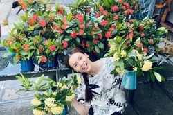 Nhà vườn 8000 m2 ở ngoại ô của ca sĩ Phạm Phương Thảo