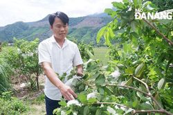 Nghị lực của Khoa