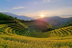 Mê mẩn mùa vàng nơi rẻo cao Mù Cang Chải