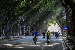 Nắng dịu buổi sớm Thu làm xao xuyến lòng người