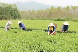 Gia tăng giá trị sản phẩm địa phương