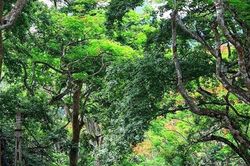 Vườn quốc gia hàng đầu châu Á tại Việt Nam