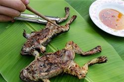 Ếch nướng nguyên con làm nhiều người khiếp vía - Đặc sản khó quên của Ninh Thuận