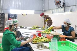 Người tiên phong chế biến bơ đông lạnh