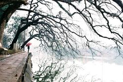 Đầu tiết lập đông, nhiệt độ Sa Pa giảm còn 8,9 độ C