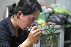Mô hình vườn cây siêu nhỏ