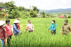 Bài toán việc làm ở các tỉnh miền núi