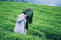 Nịnh 'dạo' tăng trên mạng xã hội