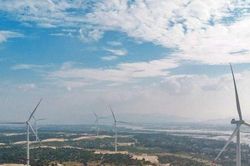 'Việt Nam sẽ đi đầu ở khu vực Đông Nam Á trong phát triển điện gió'