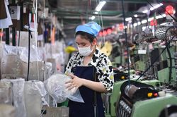 WB: 'Kinh tế Việt Nam đang phục hồi'