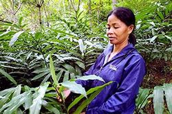 Trồng sa nhân tím: Hướng phát triển kinh tế mới ở Đào ViênTin khácMời bạn đọc, cộng tác viên gửi bài, ảnh cho Báo Lạng Sơn số Tết Dương lịch và Xuân Nhâm Dần 2022Doanh nghiệp nhỏ và vừa vững vàng vượt qua đại dịch