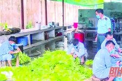 Việc làm cho người nghiện sau cai: Nhiều khó khăn cần tháo gỡ