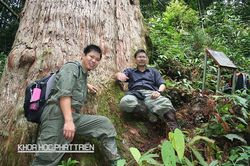 ThS. Phạm Văn Thế: Nhà khoa học trẻ cho 3 loài cây 'mượn tên'