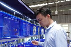 Phát triển kinh tế từ nuôi cá 7 màu