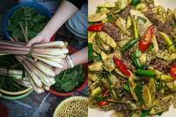 Đặc sản Nam Định mỗi năm chỉ có 1 lần, nhiều người tưởng củ sả nhưng lại sai bét