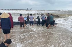 Cá voi nặng gần 2 tấn mắc cạn trên bờ, hàng chục người ra cứu