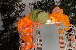 Cảnh sát dùng xe thang bắt tổ ong vò vẽ ở Thảo Cầm Viên