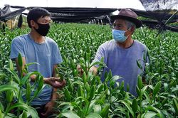 Hội viên CCB thị xã Sa Pa: Giúp nhau phát triển kinh tế