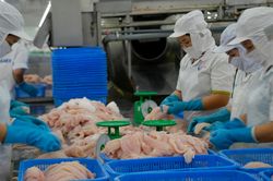 Xuất khẩu cá tra đối nghịch giữa 2 thị trường lớn nhất
