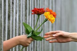Một lần thoát chết nhờ... sống tử tế