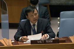 Việt Nam ủng hộ nỗ lực hỗ trợ Iraq giải quyết các thách thức