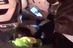 Clip: Cô gái bình thản lướt mạng khi đang nằm ngay trước đầu ô tô sau vụ va chạm giao thông