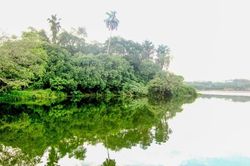Chiêm ngưỡng đầm Ao Châu in bóng mây trời
