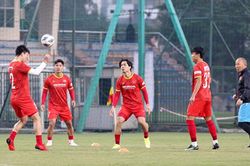 Đội tuyển Việt Nam tại AFF Cup 2020: Hành trình đầy thách thức