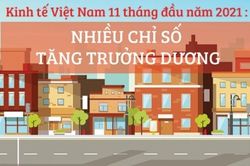 Kinh tế Việt Nam 11 tháng đầu năm 2021: Nhiều chỉ số tăng trưởng dương
