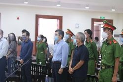 Xét xử phúc thẩm vụ ông Nguyễn Thành Tài liên quan 'đất vàng'