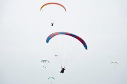 Hà Nội: Bay dù lượn, ngắm đồi Bù đẹp mê hồn với cỏ lau la đà trong gió
