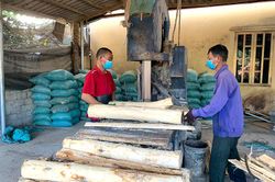 Chủ động phòng ngừa và hạn chế tai nạn lao động