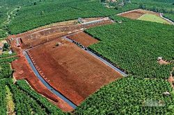 Bộ Xây dựng yêu cầu Lâm Đồng báo cáo tình trạng 'phân lô' trước ngày 6-12