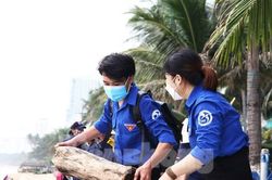 Bạn trẻ Khánh Hòa dọn rác trên bãi biển Nha Trang sau mưa lũ