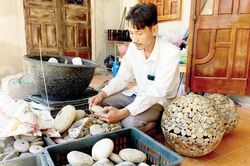 Đời sống Đời sống Đời sống khác của đá cuội